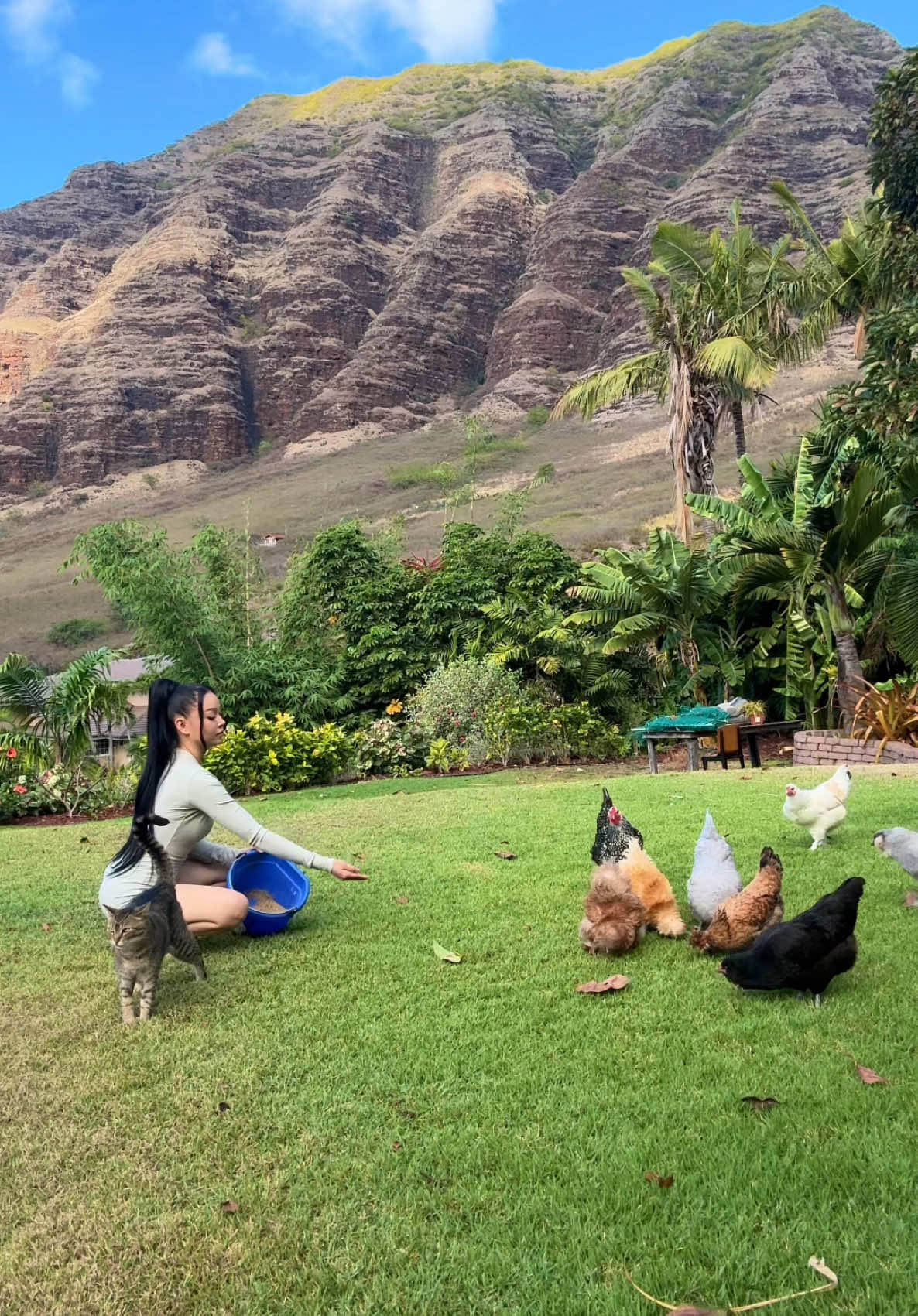 Feeding chickens and distracting myself from the question, Will You Always Love Her?💔🐣