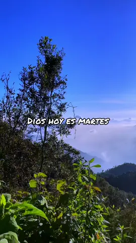 🙏🏻🤍😇 #2024 #graciasportodo #fyp #diosesbueno #graciaspadre #guatemala #paisaje #vistasenparati #graciasjesus #capcut_edit #paratiiiiiiiiiiiiiiiiiiiiiiiiiiiiiii #CapCut #plantillas #fypシ゚ #viralvideotiktok #añonuevo #feli #felizañonuevo2025🎉🍾🍻♥️🎊  #2025bride