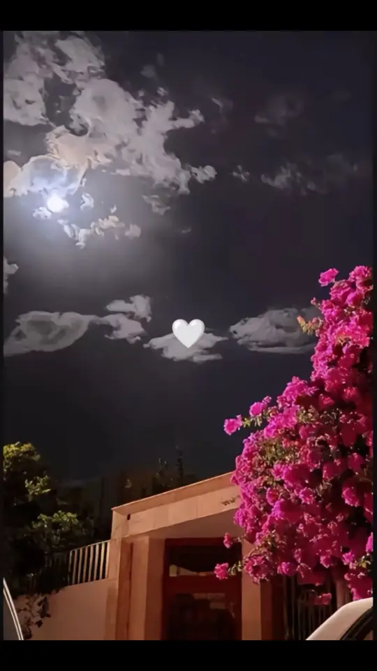 دا اللي بين الزحمه جالي  ❤️‍🩹 #اغاني_بدون_موسيقى #بدون_موسيقى☕🖤 #هدوء #هشتاق #تصميم_فيديوهات🎶🎤🎬 #تصميم_فيديوهات🎶🎤🎬تصميمي🔥 #استوريات #storytime #storywhatsapp #fyp 