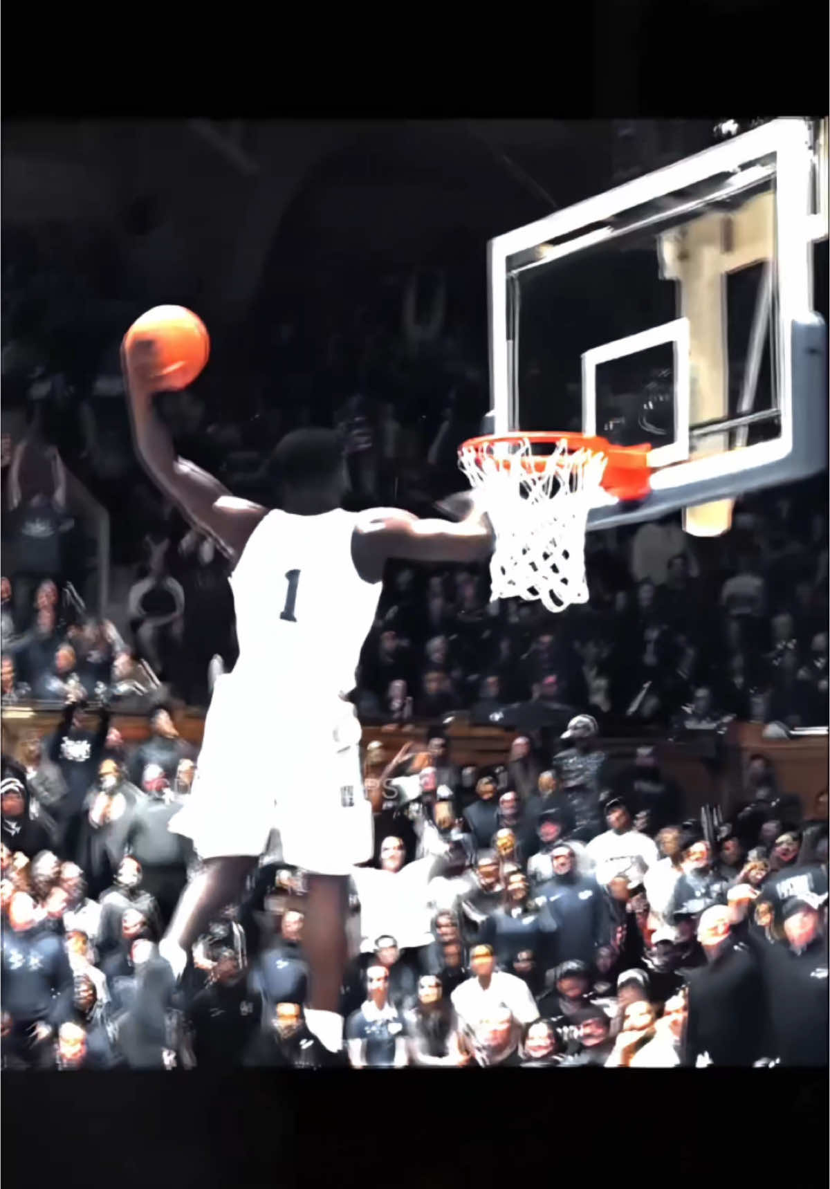 Healthy Zion is just different ☠️ #NBA #basketball #fyp #foryou #foryoupage 