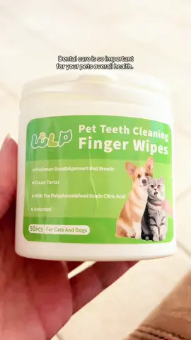 Dental hygiene is so important for your dog or cat. #catmom #catlover #cats #meow #crazycatlady #petteeth #petteethcleaning 