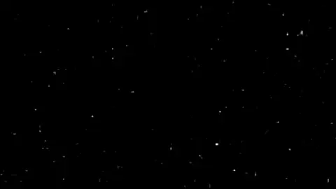 عبد الباسط ممدوح الساروت رحمة الله عليه🕊#الساروت #الساروت_بلبل_الثورة_السورية #يمان_نجار 