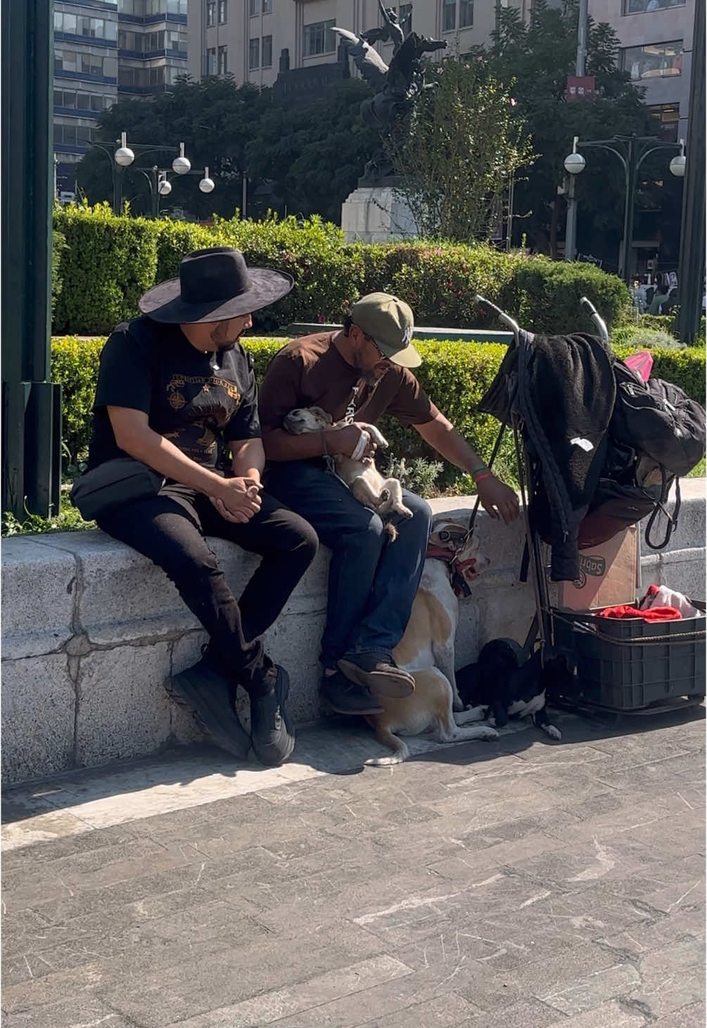 Sorprendo a este señor que cuida perritos este año nuevo 😭🙏❤️
