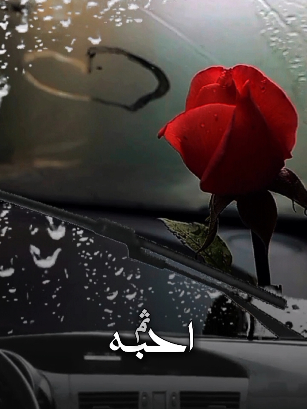 #CapCut احبه ثم احبه  #نادر_الشراري #شيلات #اكسبلور #ترند #تصميم_فيديوهات🎶🎤🎬 #شيلات_فخمة❤️ #viral #fyp #trending #lavendr81 