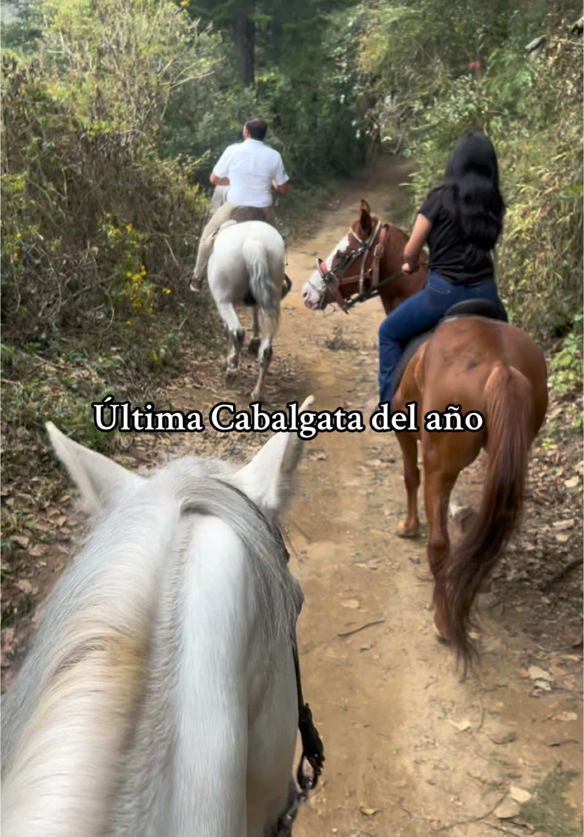Adiós 2024 🐴 ❤️ #caballos #cabalgata 