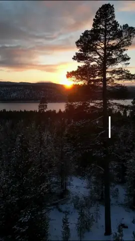 بطانية الدب للطفل الرضيع الدافئة والناعمة دفئ طفل واحصل عونك عميق لطفلك #طفل #طفلي #غطاء-طفل