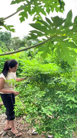 Masak masak gys #dayliminivlogsaaartiikaaa #saaartiikaaa #dayinmylifevlog #keluargauhu 