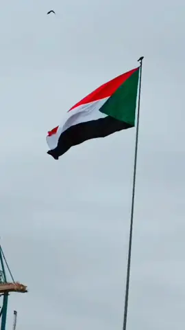 #السودان #السودان🇸🇩 #استقلال #استتقلال_السودان #دولة56 #علم_السودان🇸🇩 