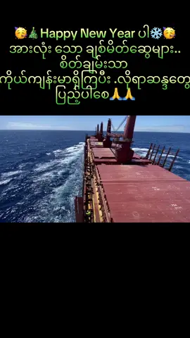 #myanmartiktok🇲🇲🇲🇲 #happynewyear #seafarer #travel #oceanlife 