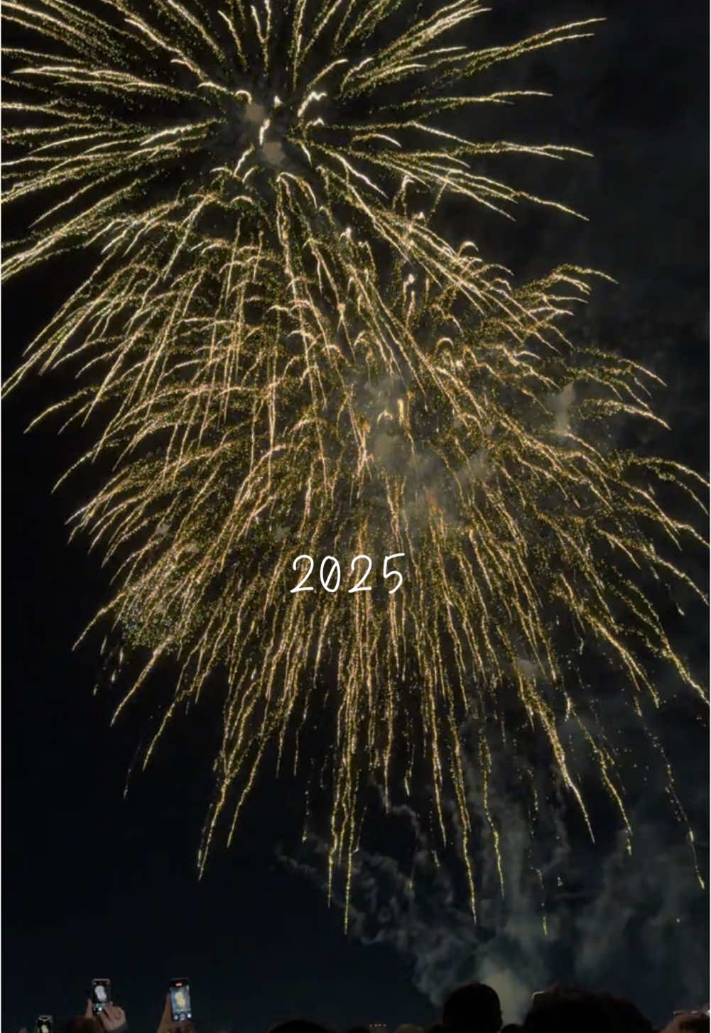 Halu 2025 #xuhuong #xuhuongtiktok #yokohama #横浜 