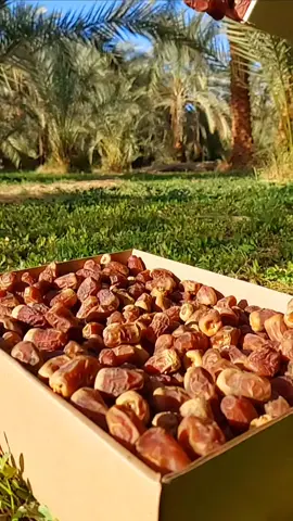 تمور اركان - arkan dates ❤️ من اجود انواع التمور في مصر  (جودة عالية ثقه غالية )👌 #تمور_اركان #arkan_dates  #تصدير_استيراد #تصدير_لجميع_الدول  #تمور 