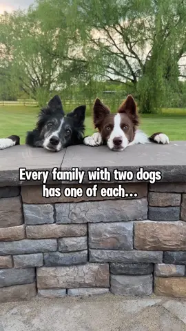 Gotta live a balanced life, right? 🤣