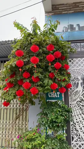 Rực rỡ lung linh trong dịp Tết 