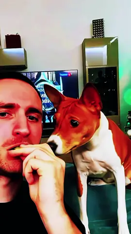 С новой годой братья ❤️