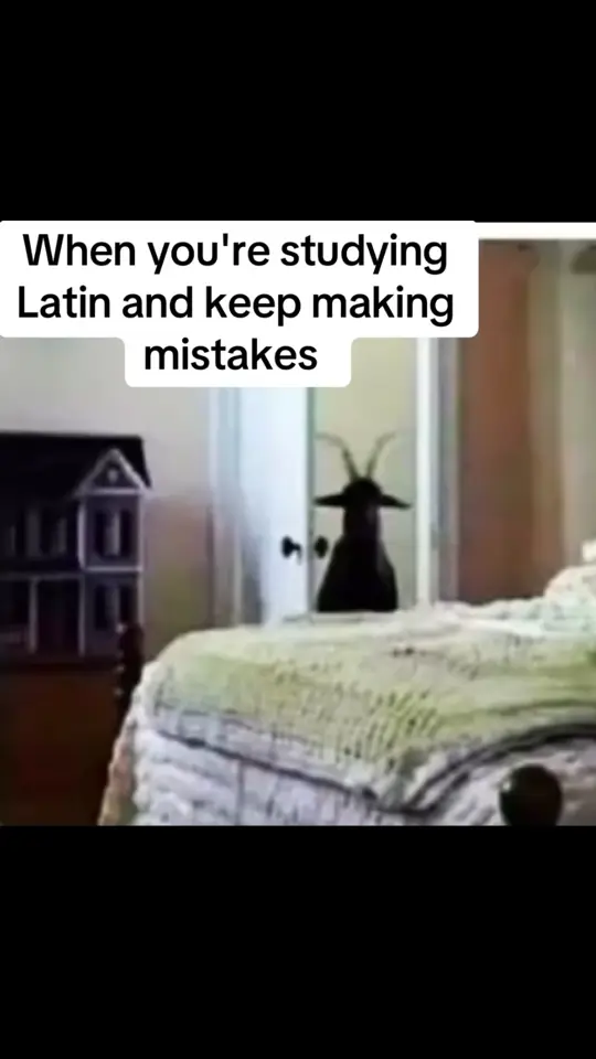 I think I may have accidentally conjured up something 