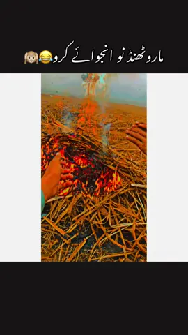 Hyyy Sardi😂😂😂#فارمنگ_پکا_کاروبار_نی_جٹاں_دا_بس_بلیے #پنجابی_کلچر #fypシ゚viral #viral #trend #trendingvideo #unfrezzmyaccount #foryourpage #100k #farhanjutt1wala 