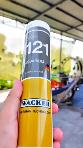 Keo thủy sinh #keodanhoca #keothuysinh #trending #xuhuongtiktok 