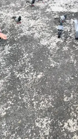 اللهم نسألك الجنة وما قرب اليها من قول او عمل#مكة #الكعبة_المشرفة #تلاوات_مؤثرة #الحرم #بدر_التركي 