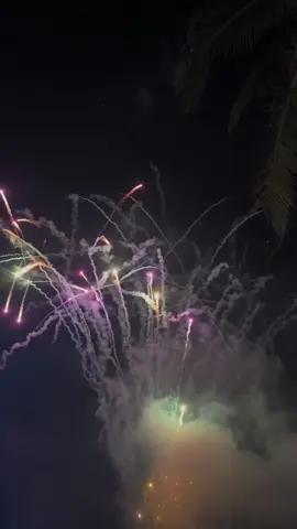 Bohol's Grandest fireworks display welcoming 2025 @henannbohol #2025 #fireworks