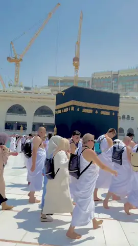 2025  #foryourpage #foryou #molai_007 #foryo 