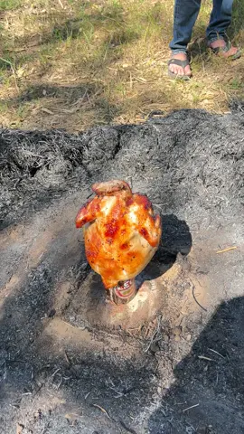 ไก่อบฟาง😋🐓  #ไก่อบฟาง #ทุ่งนา #โคราช #วิวบ้านนอก🍃 #อาหารอีสาน 