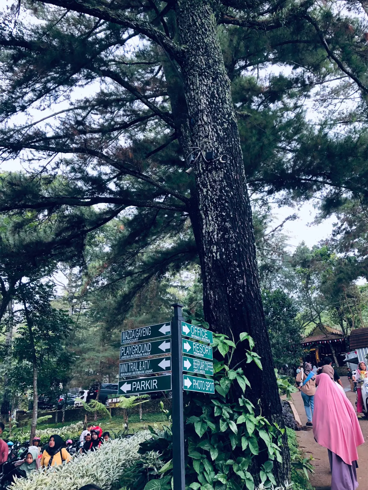 #pijarkudus #kudusviral #explorekudus #kudushits #kudufyp 