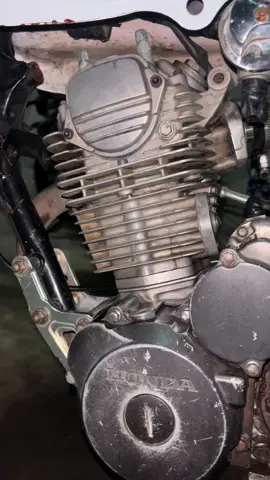 jangan lupakan siapa yang membantumu ketika yang lain sedang alasan😇 #tigerdolly 