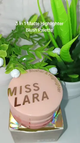 3 in 1 Matte Highlighter Blush Palette  #mattehighlighter #highlighter #blushpalette #fyppppppppppppppppppppppp #trending #fypシ゚viral #viralvideo 