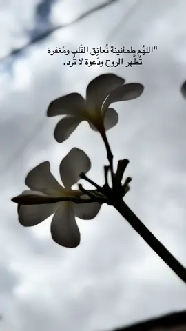 #اكسبلورexplore #لانامحمد 