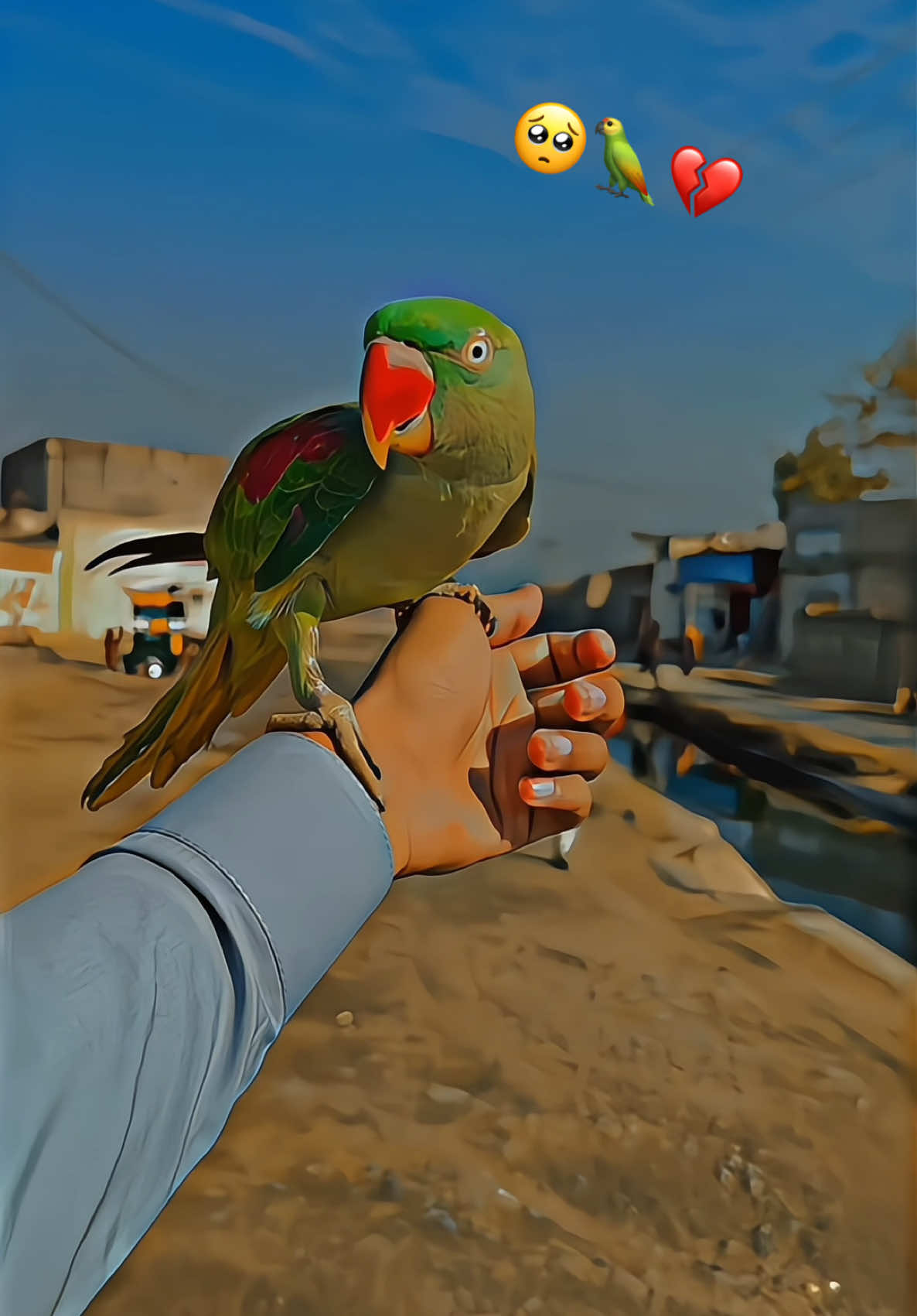 Bi GhArAzA yE kHaNi wA bE gHaRaZa y RoZgAr o🥺💔💔#viral #viral🥺❤️ #pleaseunfrezzemyaccount #plzunfrezemyaccount #growmyaccount #duet #trending #support #dontunderreviewmyvideo #viralvideo #4upagee #fypviral #unfrezzmyaccount 