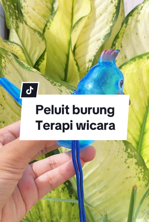 Peluit burung lucu banyak manfaat bund 😍😍 #peluitburung #terapiwicaraanak 