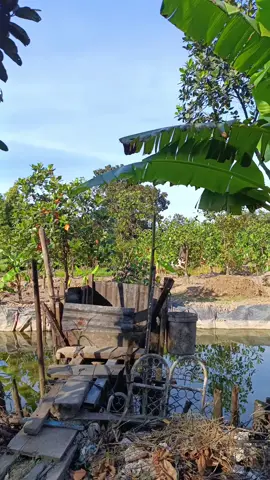 mua giấy tại đây