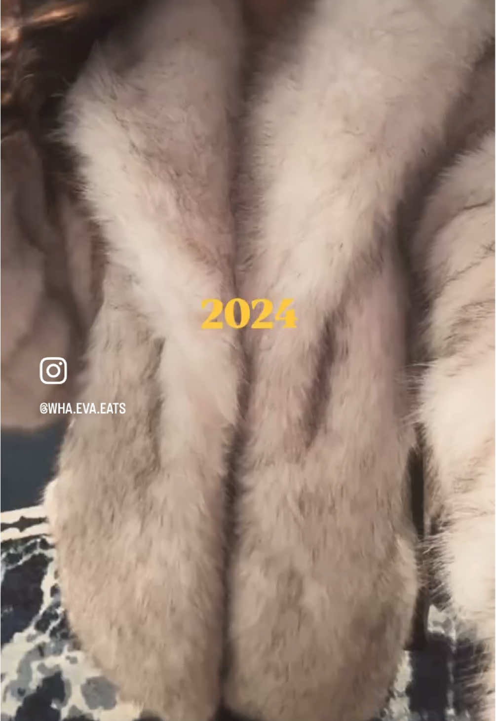 ✌🏼2️⃣0️⃣2️⃣4️⃣ 👋🏼2️⃣0️⃣2️⃣5️⃣ Happy New Years! 🎆 who’s ready for the new year?!