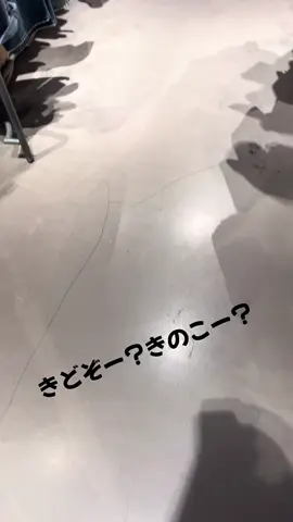 2025年バージョン 今年も去年同様にキノコのお店に行きました。 相変わらずキノコでした。 今年はちょっときどぞー？ってゆーてるよーに聴こえましたwww #空耳 #キノコ #キノコチャレンジ #アウトレット #アパレル #服屋