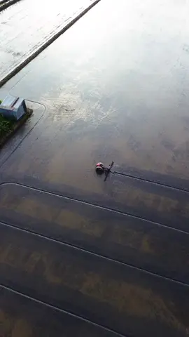 xem full video tại kênh youtube cơ giới nhà nông  #youtubecơgiớinhànông  #máytrạcđất 