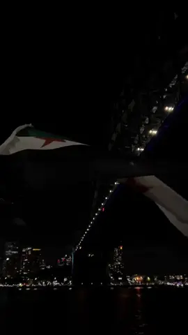 احتفالات في سوريا بي عام 2025 انشاالله سني جديدة علينة و خير             💚🤍🖤                 ✌️