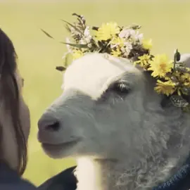 Folk horror is so fun it's one of my favourite genres ever #folkhorror #lamb #thewitch #thewickerman #inthetallgrass #theblairwitchproject#thetexaschainsamassacre#thechildrenofthecorn #edenlake  #theritual #hereditary #men #mandy #longlegs #midsommar #fyp #trending #viral  Ib:: @academic.wasteland  Dts:: @.roryyxe @.langdonluv @x4ramy @machersfilm @lila251522