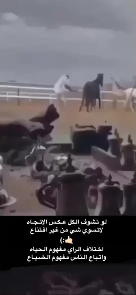 #ترند 