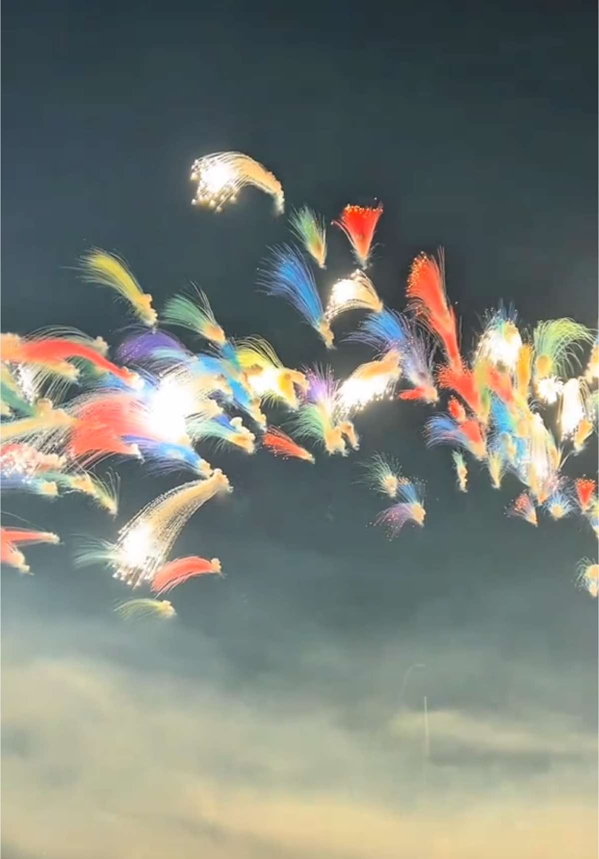 😍 #roadtrip #travel #china #chucmungnammoi 