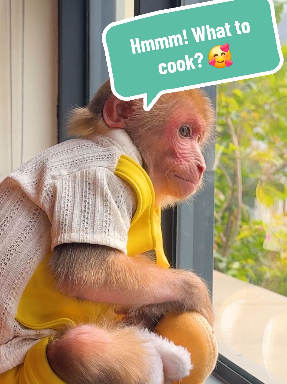 Bibi wanted to cook potatoes but the house had a power outage. #familybibi #monkeydluffy #animals #monkeylala #bibimonkey #babymonkey #monkeyface #monkeys 