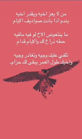 #الاردن_السعودية_فلسطين_احساس_شاعر_لايك_فضلآ_وليس_أمرآ 