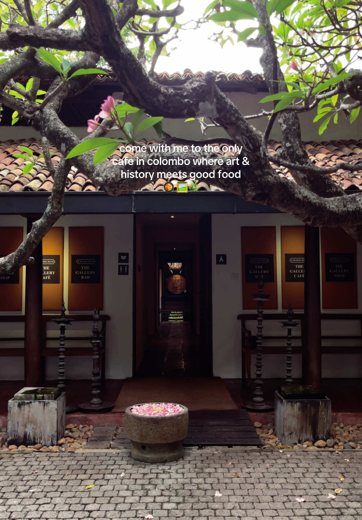 Step into Colombo’s hidden gem, where food, art, and history come together in a unique experience.  This charming spot offers more than just delicious dishes, it’s a place to savor flavors while surrounded by captivating works of local art and rich historical storytelling. Whether you're here to enjoy a hearty meal or explore the stories behind the artwork, every visit promises a memorable experience.  Perfect for those who appreciate great food, history, and creativity, make sure to stop by and enjoy all this beautiful space has to offer! 📍The Gallery Cafe, Colombo 3 #tiktoksrilanka #colombo #gallery #art #cafe #food #History 