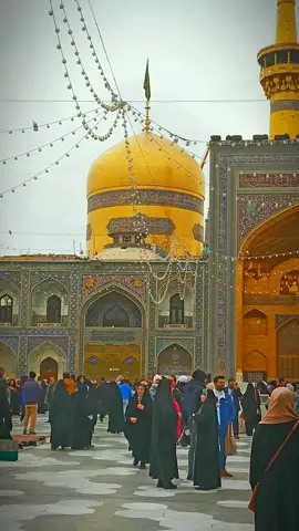 #رضا_جان #حرم_امام_رضا #الشیعه #iran🇮🇷 #pakistan #العراق #syed_mehdi_512725 #سید_مھدي 