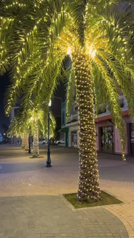 F5 quấn cấy chống nước cho cả nhà a.chạy qua nguồn 12v.#trangtricaffe #đèntrangtritrachanh #trangtrinoelgiangsinh #mẫuhot2024 #trangtrinhacua 