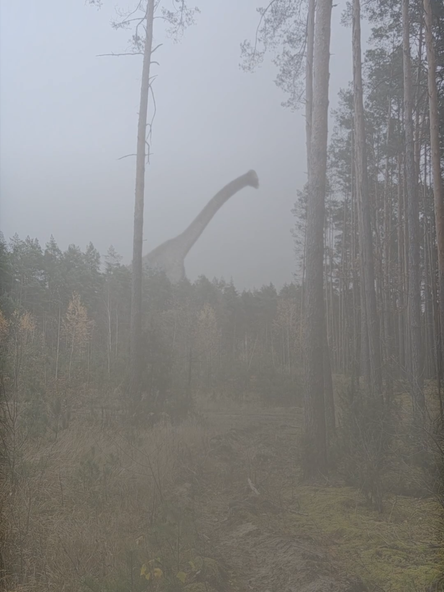 Dinosaurs are still alive #jurassicworld #foryou #forupage #dinosaur #brachiosaurus #creature #giants