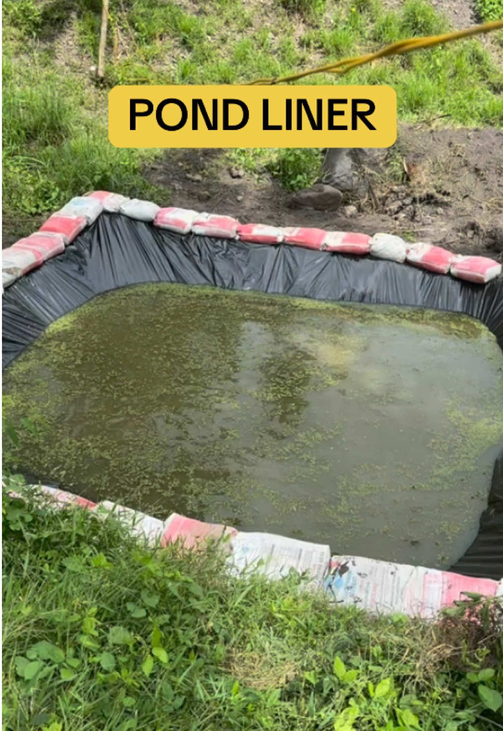 HDPE Fish Pond Liner para sa long-lasting at leak-proof na pond. #FishPond #HDPELiner #PondLife #SustainableFarming #azollapond #FarmGoals