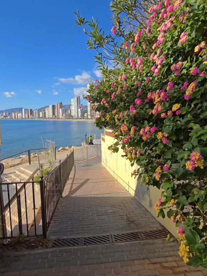 Benidorm, Spain🇪🇦 #sunny #beautiful #beautifuldestinations #benidorm #spain #fyp 