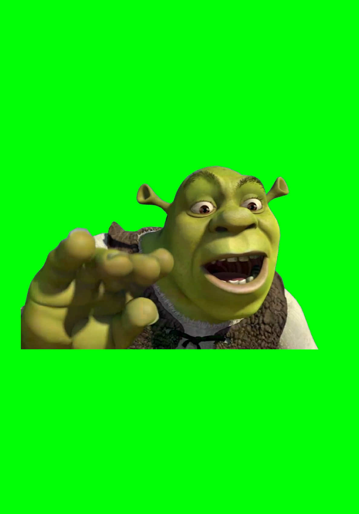 Shrek “bye bye” | Green Screen #shrek #greenscreen #greenscreenvideo #shrekmeme #fyp 
