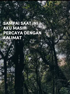 #story #xyzbca #fyp  #foryou 