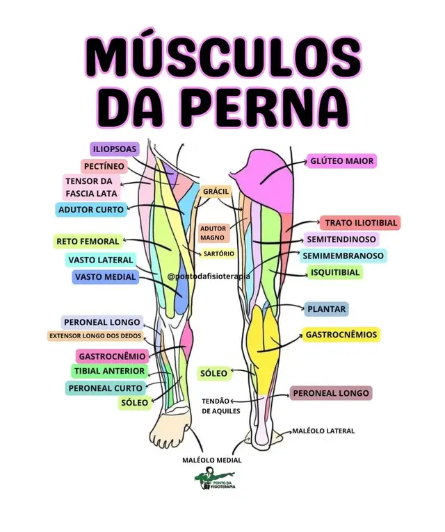 #fisiologia #paratiiiiiiiiiiiiiiiiiiiiiiiiiiiiiii #para #medicina #vista #salud #
